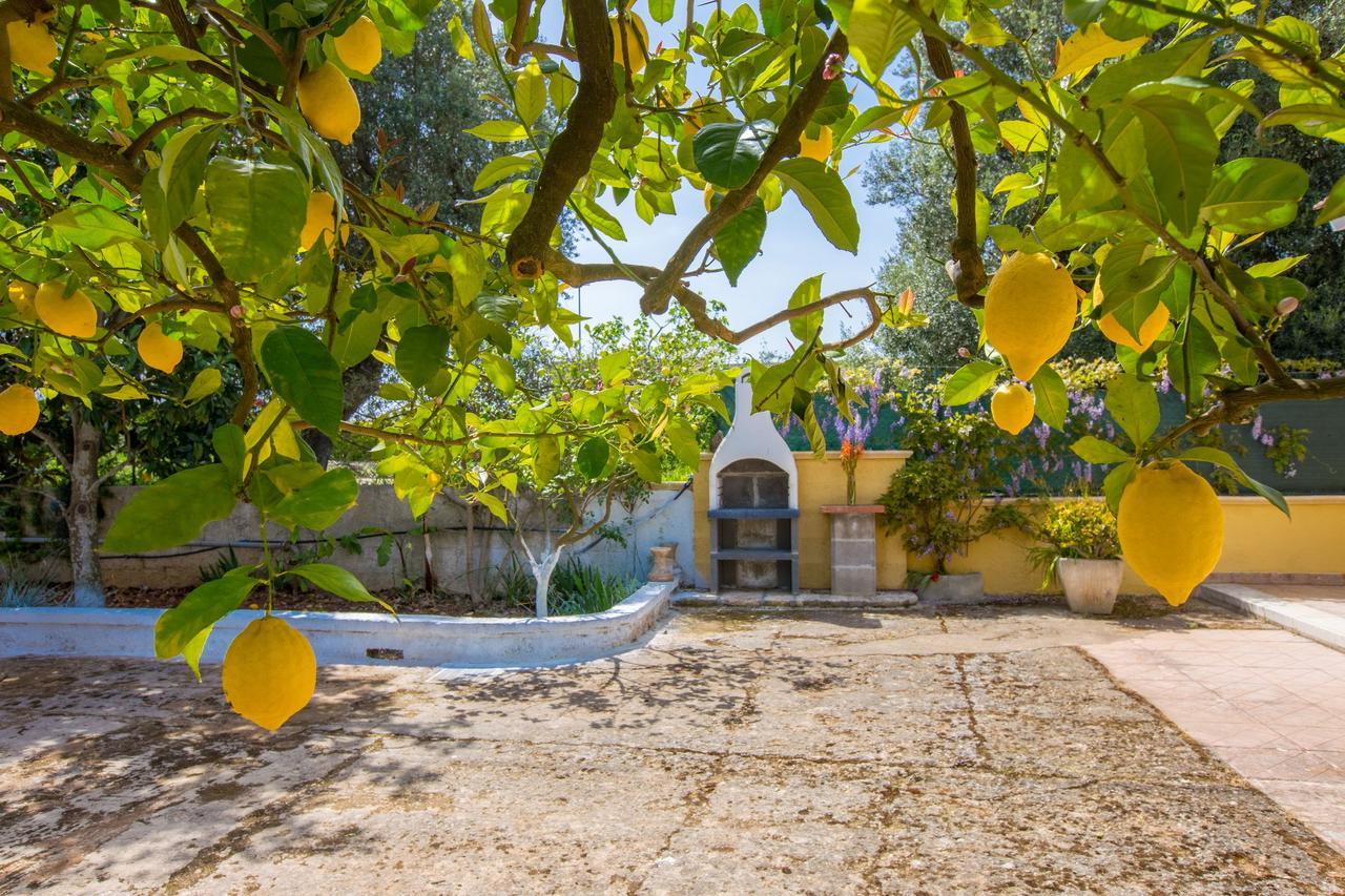 סן ויטו דיי נורמני Casa Mediterranea Dei Normanni מראה חיצוני תמונה